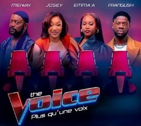 Les quatre coachs de The Voice Afrique francophone